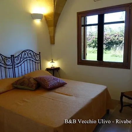 Il Vecchio Ulivo Bed & Breakfast *