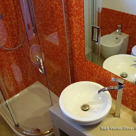 Bed & Breakfast Il Vecchio Ulivo *